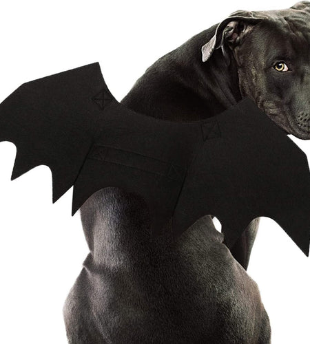 Dog Bat Costume - Halloween Pet Costume Bat Wings Cosplay Dog Costume Cat Costume for Party