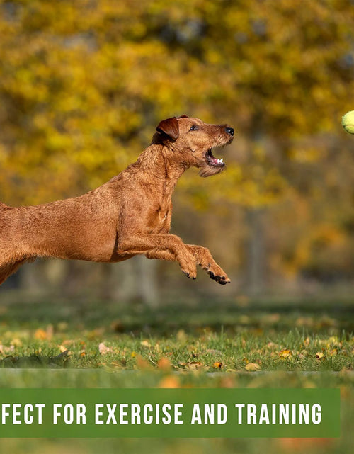 Load image into Gallery viewer, K9 Kannon Dog Tennis Ball Launcher Interactive Dog Toy with 1 Dog Ball, Green
